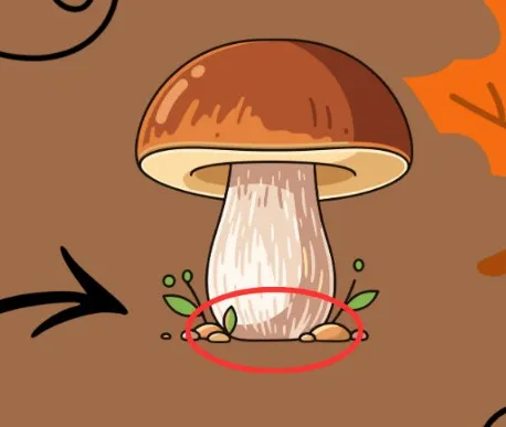 Champignons