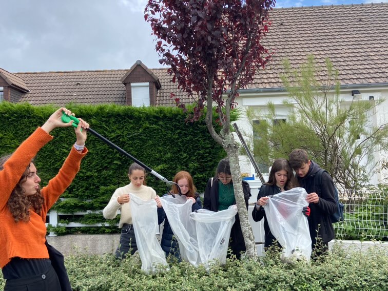 Image de la galerie cleanwalk2022