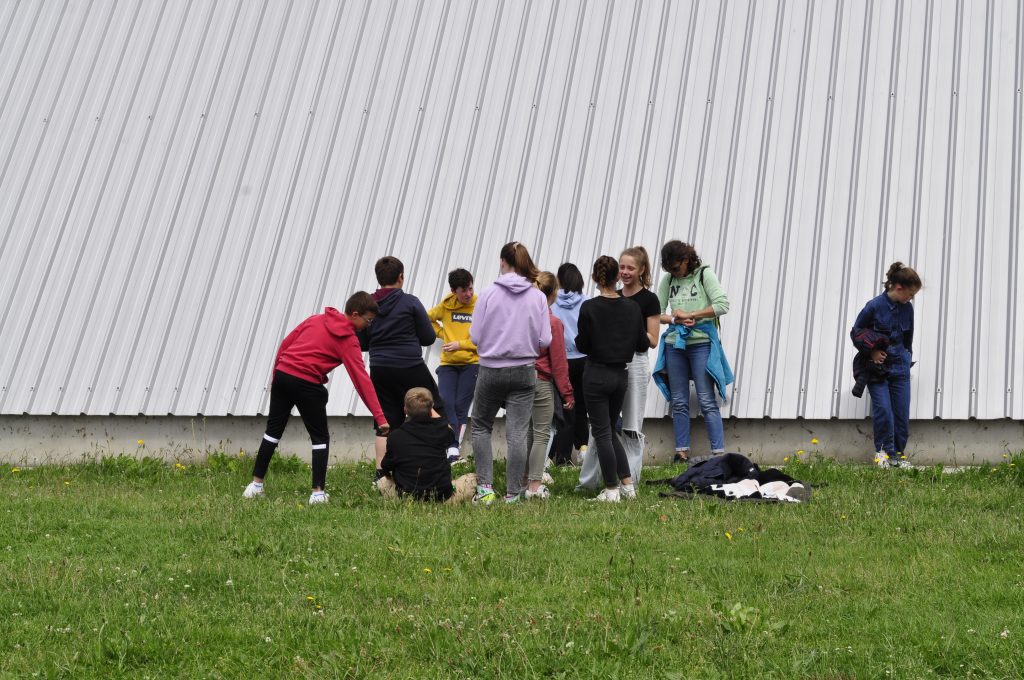 Image de la galerie cleanwalk2022