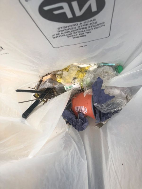 Image de la galerie cleanwalk2022