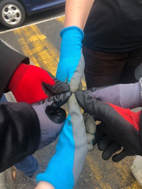 Image de la galerie cleanwalk2022