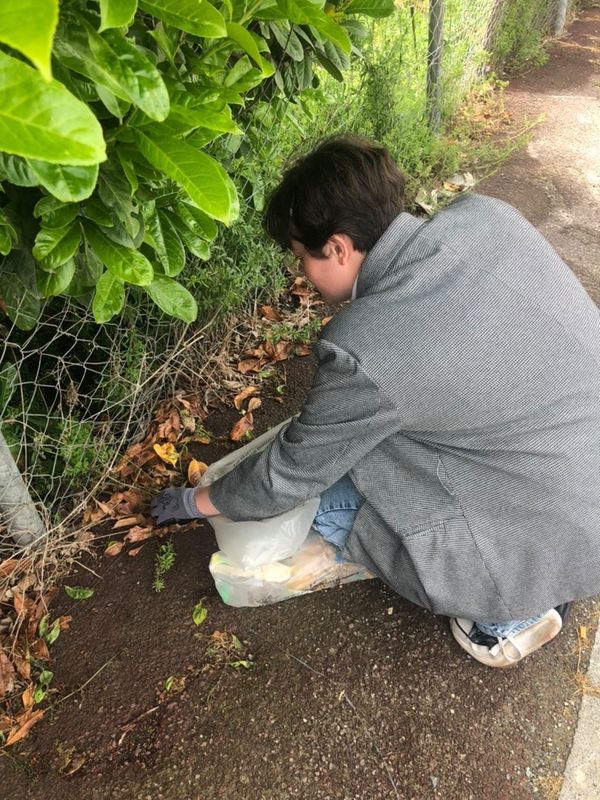 Image de la galerie cleanwalk2022