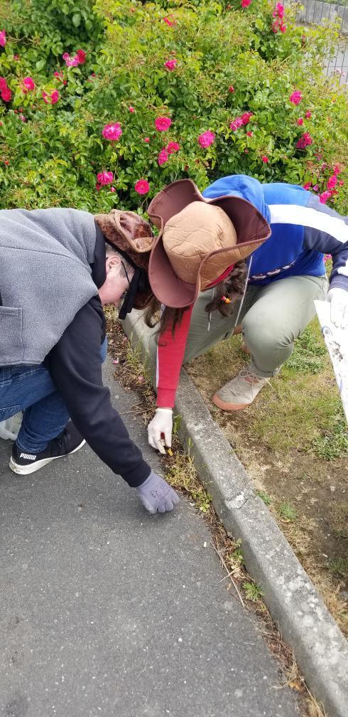 Image de la galerie cleanwalk2022