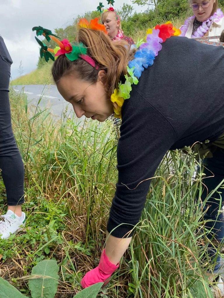 Image de la galerie cleanwalk2022