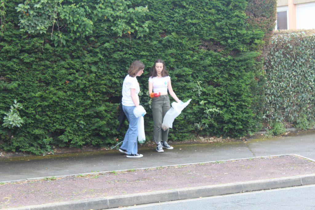 Image de la galerie cleanwalk2022