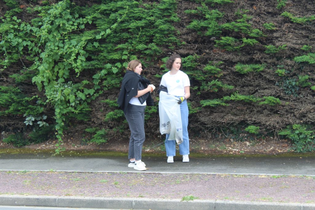 Image de la galerie cleanwalk2022