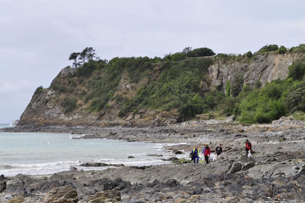 Image de la galerie cleanwalk2022